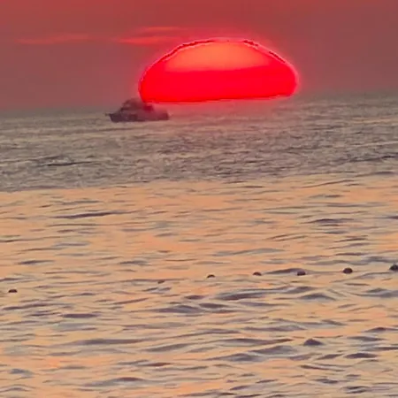 Avino * Zadar